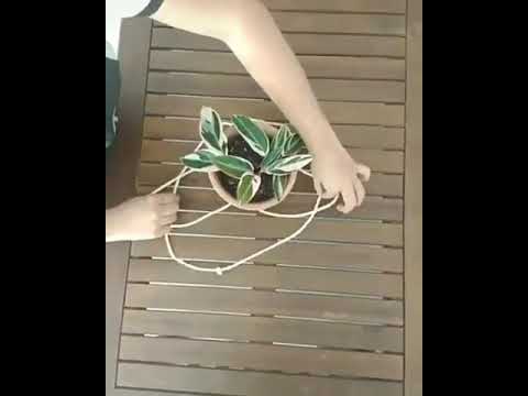 Accrochez vos pots de fleurs avec élégance : des astuces de bricolage fiables et pratiques