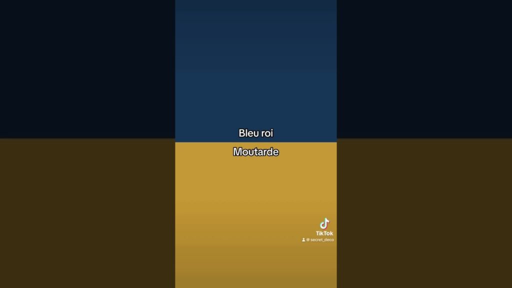 Les combinaisons de couleurs incontournables de 2024 : découvrez des choix audacieux et élégants pour sublimer votre style